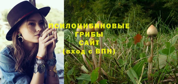 не бодяженный Зеленодольск