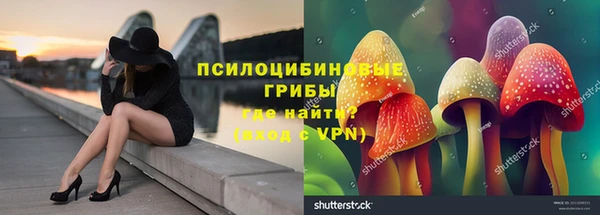 марки lsd Зерноград