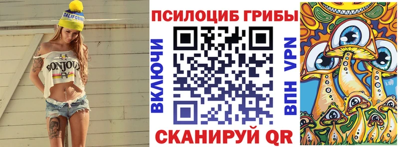 Псилоцибиновые грибы GOLDEN TEACHER  Купить где  Гуково 